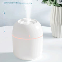 220ml H2o Mini Cup Sprayer Mist humidifier Double Wet Aroma